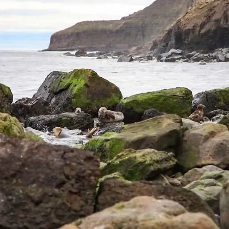 בית נופש Honey Bee סקארבורו