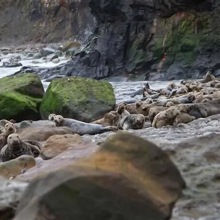 Сasa de vacaciones Honey Bee