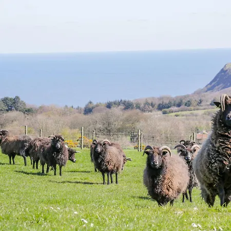 Honey Bee בית נופש