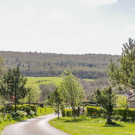 Honey Bee בית נופש