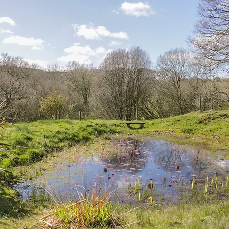 Honey Bee Ferienhaus Scarborough