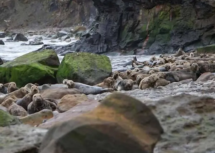 Casa de Férias Honey Bee