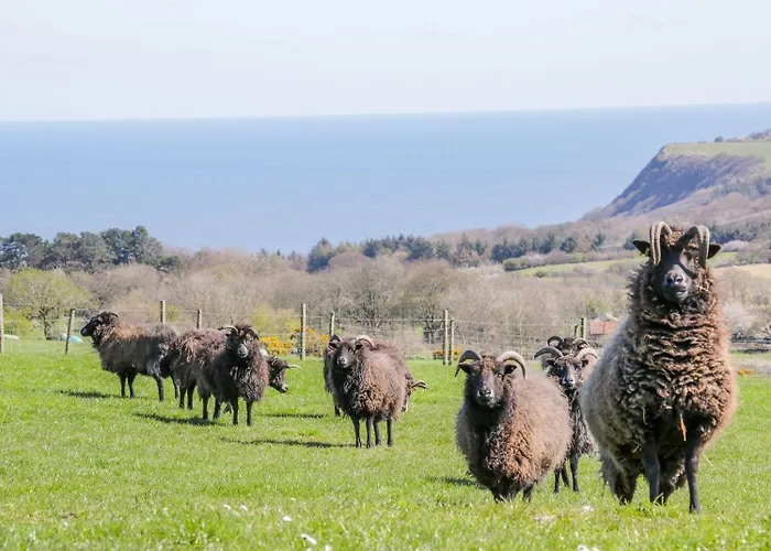 Honey Bee Casa de Férias