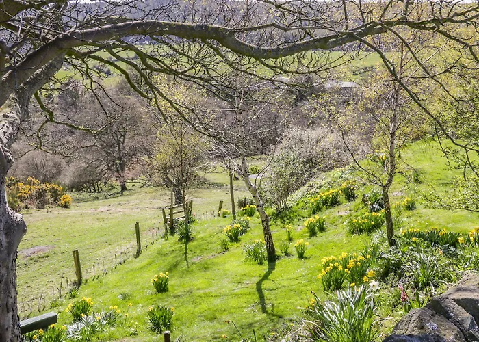 Honey Bee Casa de Férias Scarborough